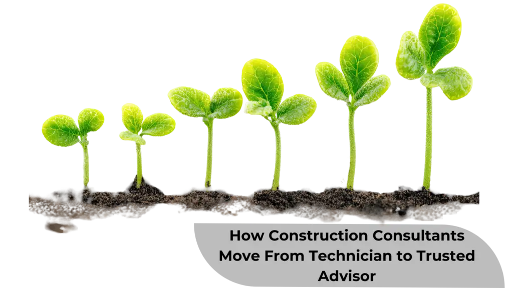 plants growing from seeds in stages. small to large